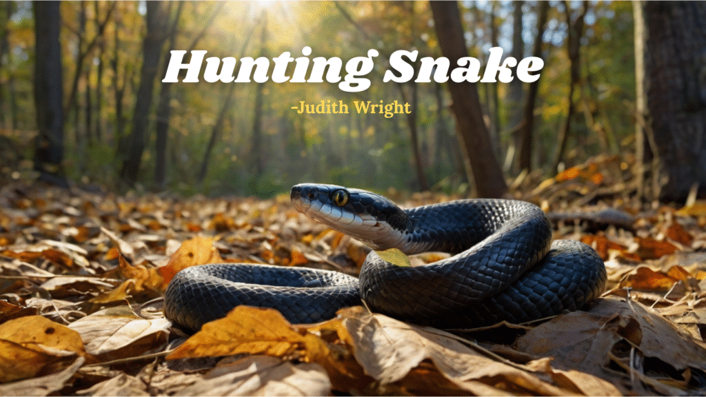 "Hunting Snake" by Judith Wright Summary, Questions and Answers: Class 9 WBBSE Syllabus
