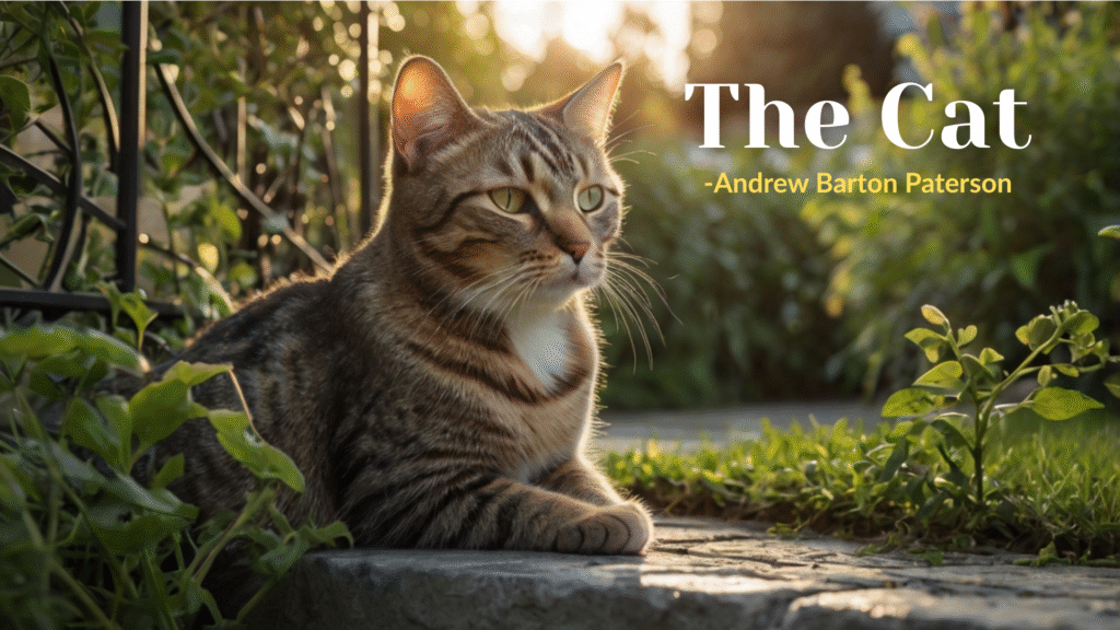 ‘The cat’ by Andrew Barton Paterson Summary, Questions and Answers: Class 10 English Syllabus
