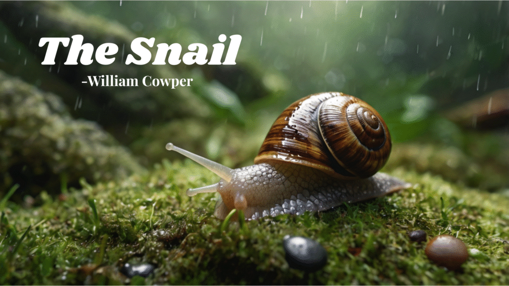 "The Snail" by William Cowper Summary, Questions and Answers: Class 10 English syllabus